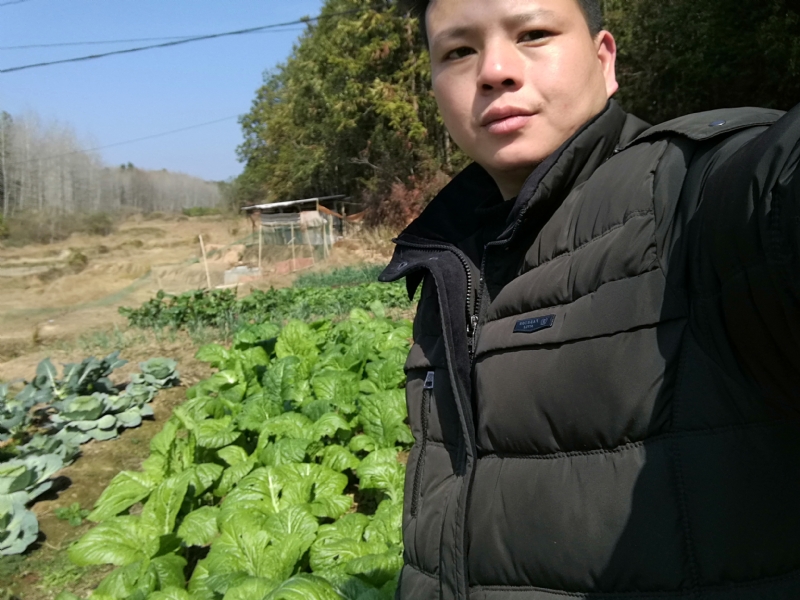 倔强的驴的第一张照片--惠安相亲网