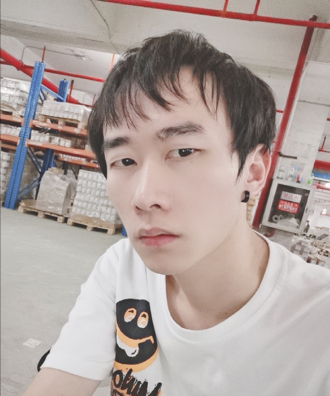 巷子里的猫的第一张照片--惠安相亲网