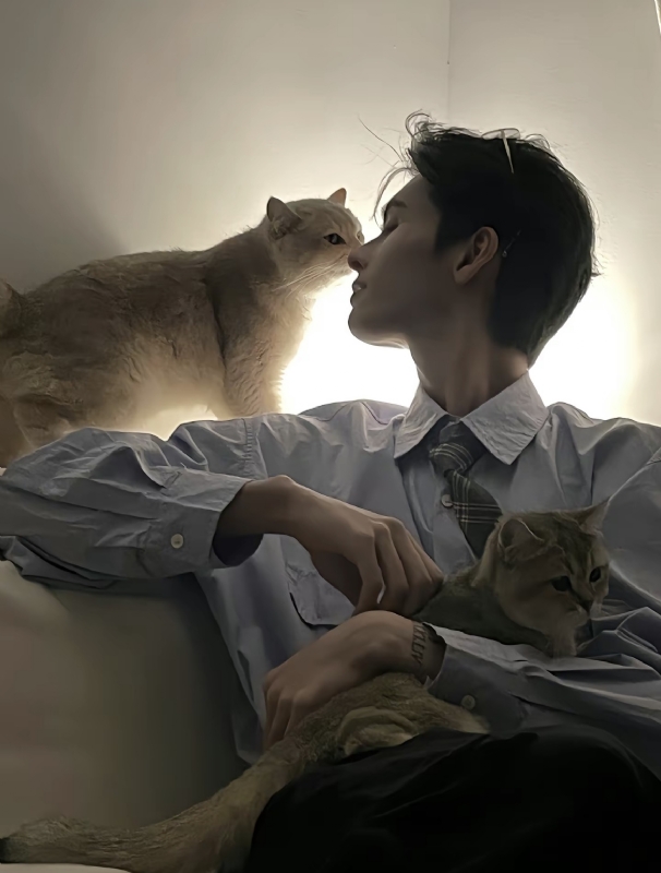 怪猫的第一张照片--惠安相亲网
